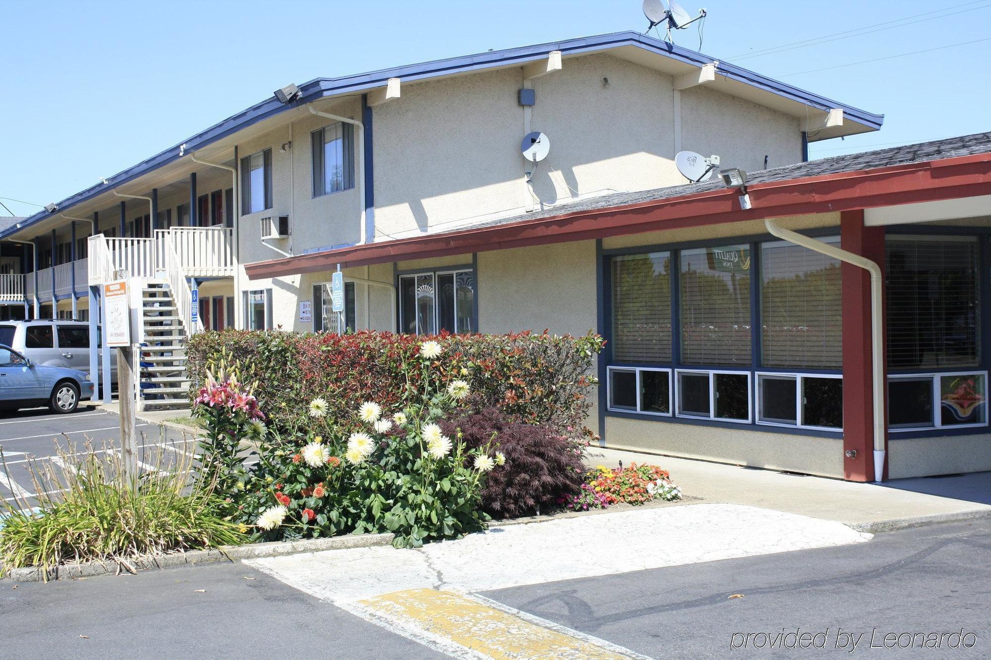 Rodeway Inn Albany Exterior photo